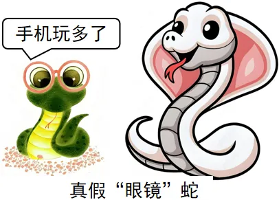 中考道法|2026中考常考考点专题之《学法守法》-第2张图片-四季读书网