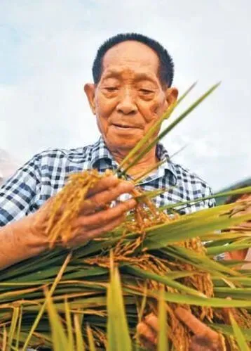 课堂练习2025年中考作文《精卫填海》(下) 第4张