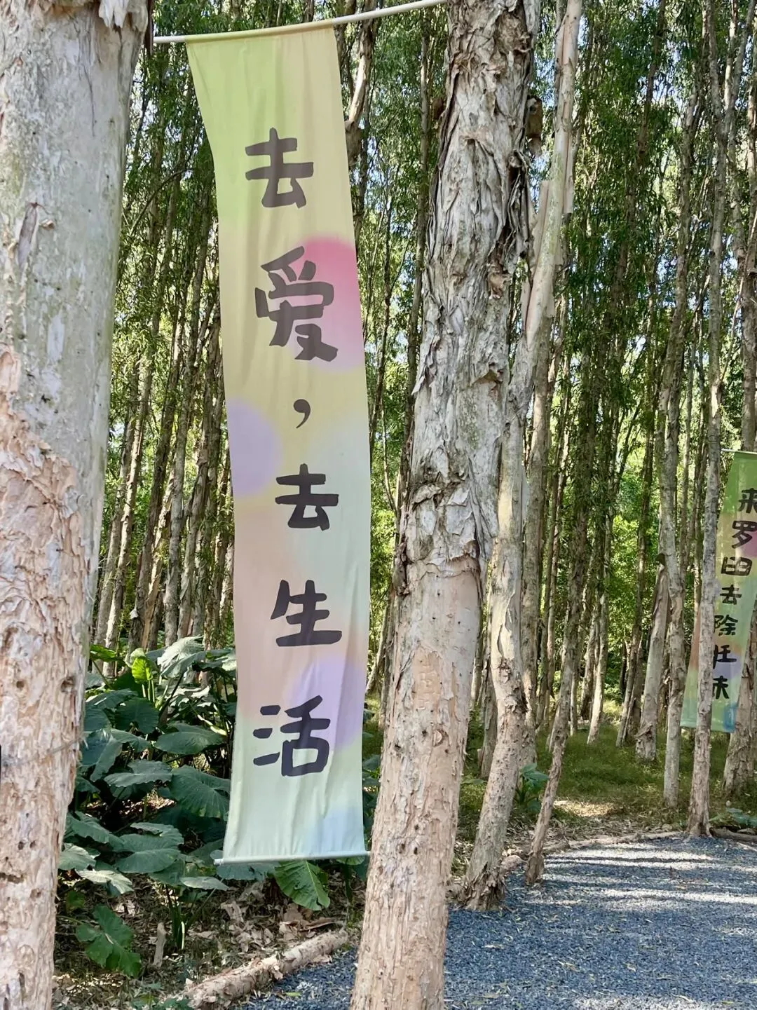 如何巧妙化平时素材为深圳中考作文 观过海,请再来欣赏《山色有无间》 第5张