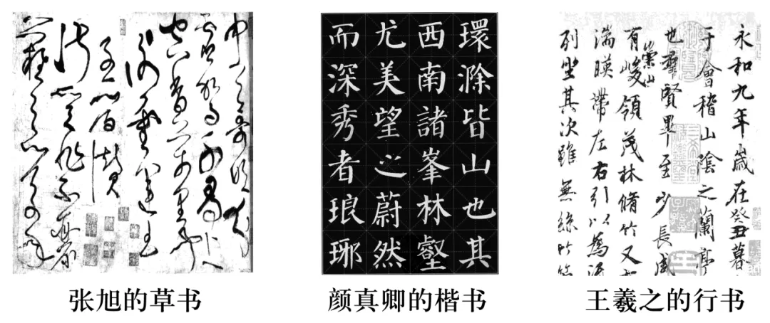 2026河南中考语文应用文专题复习 第79张