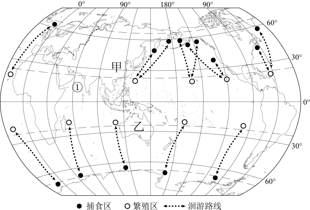 中考历年地理真题试卷(7解析) 第13张