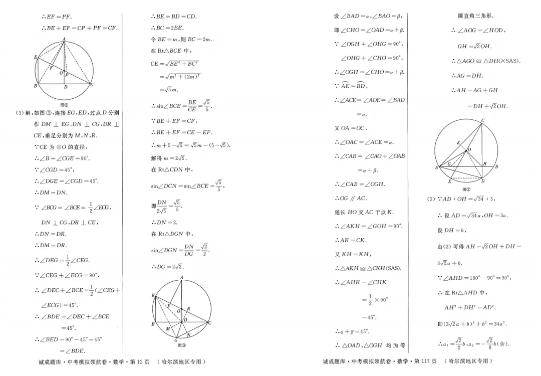2026 诚成题库 中考模拟领航卷 数学(含夹卷及答案) 第15张 2026 诚成题库 中考模拟领航卷 数学(含夹卷及答案) 第15张