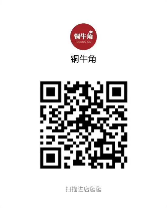 助你成功!《从中考到自招同城中考(物理)》 第19张