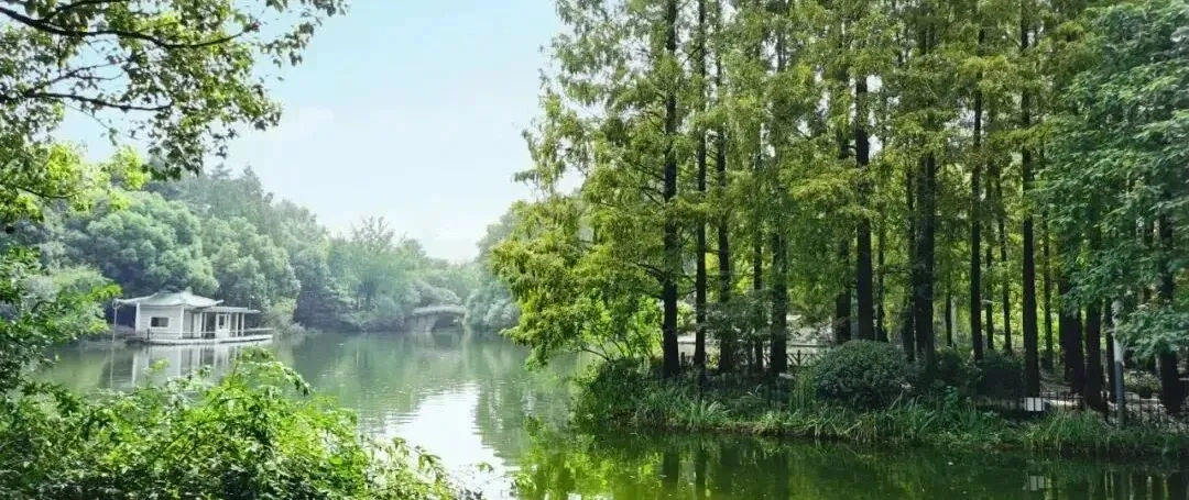 2025年上海市静安区中考英语一模试卷 第11张