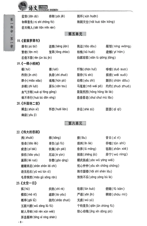 【初中】2026版语文《中考精编》第11版全套(深圳中考复习用书) 第5张