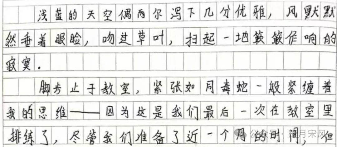 聊聊寒假中考语文的集训 第5张