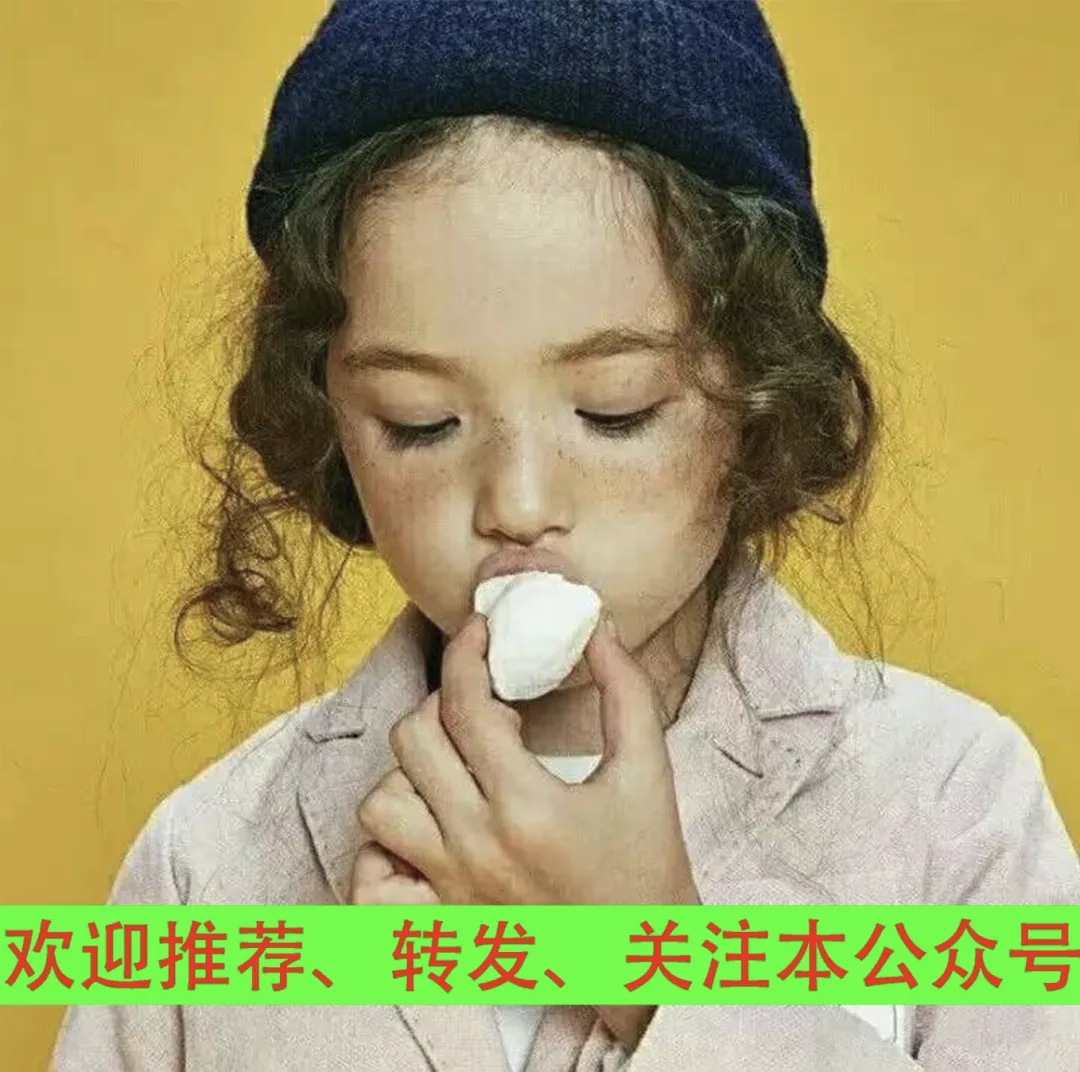2026中考数学压轴题每日一题(补充) 第14张