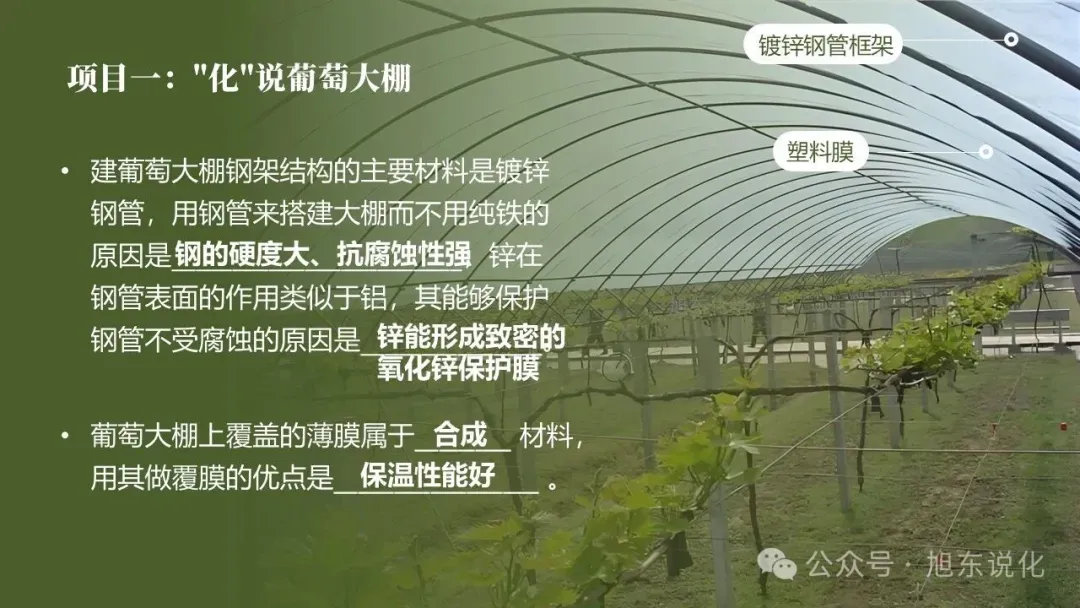 2026版中考化学复习课件 | “化” 说葡萄 —— 化学在农业与健康中的应用 第4张