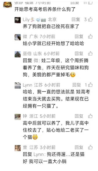 中考家长坦言,成绩、排名、辅导班不过尔尔,事情远没有结束 第3张