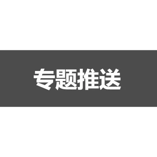 【中考】2025-2026学年浦东新区第一学期九年级质量调研(26.1初三一模) 第59张
