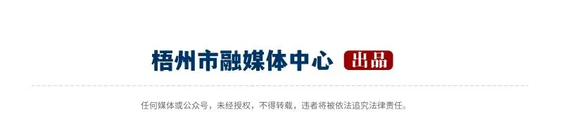 最新回应:嵊泗县并未取消中考 第6张