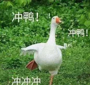 取消中考,全员上高中!卷到尽头的家长终于看到曙光了? 第10张