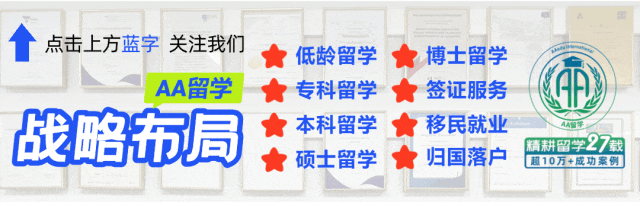 中考分流不是终点:深度拆解7大海外升学路径 第1张 中考分流不是终点:深度拆解7大海外升学路径 第1张