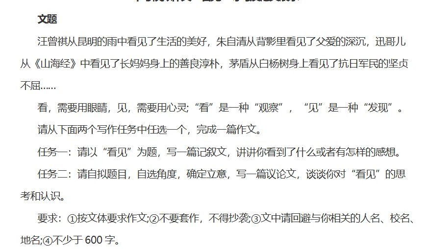 中考作文以“看见”为主题范文展示 第1张