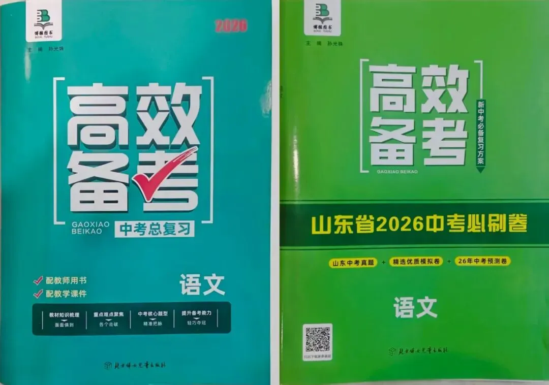 三源书吧【中考教辅推荐】高效备考中考总复习+必刷卷,从基础到素养提升,一本在手无忧! 第3张