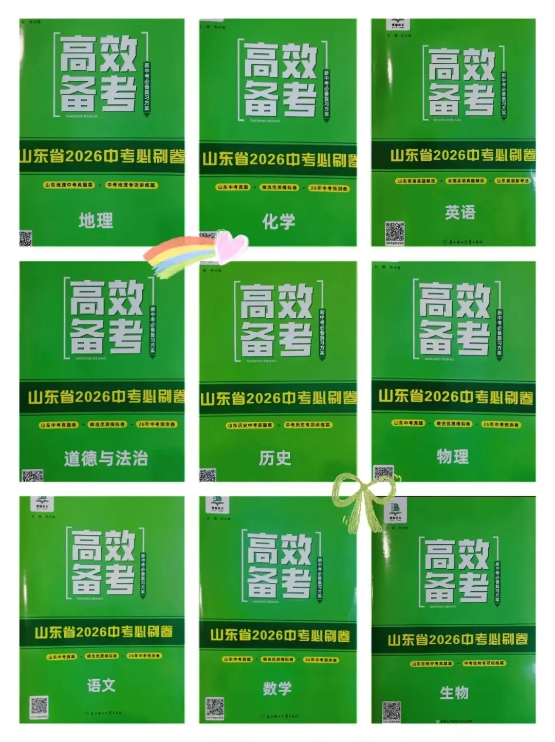 三源书吧【中考教辅推荐】高效备考中考总复习+必刷卷,从基础到素养提升,一本在手无忧! 第10张