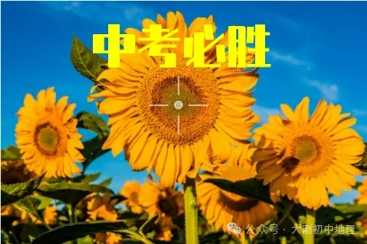 中考专训:科技热点2——高新技术产业相关问答题及答案 第1张