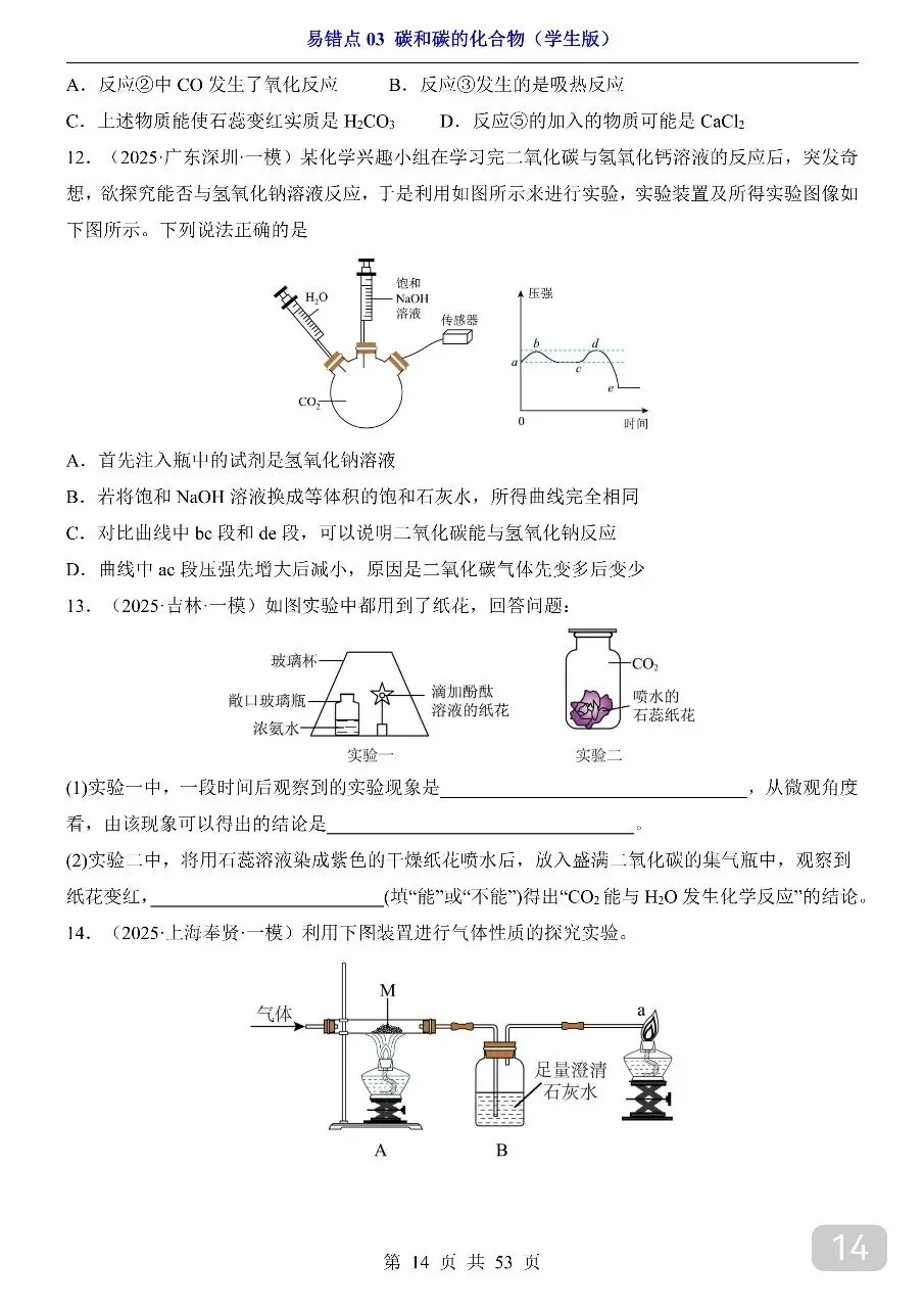 中考专项化学易错点03 碳和碳的化合物.pdf 第15张
