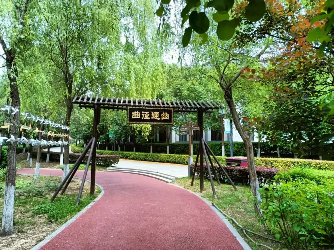 儿子从体育倒数第一到中考满分的逆袭之路(1) 第10张