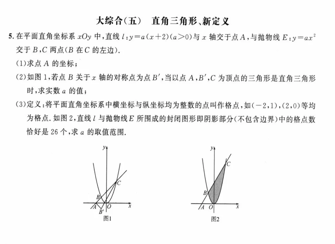 2026《初中数学•勤学早名校压轴题》中考版 第11张 2026《初中数学•勤学早名校压轴题》中考版 第11张