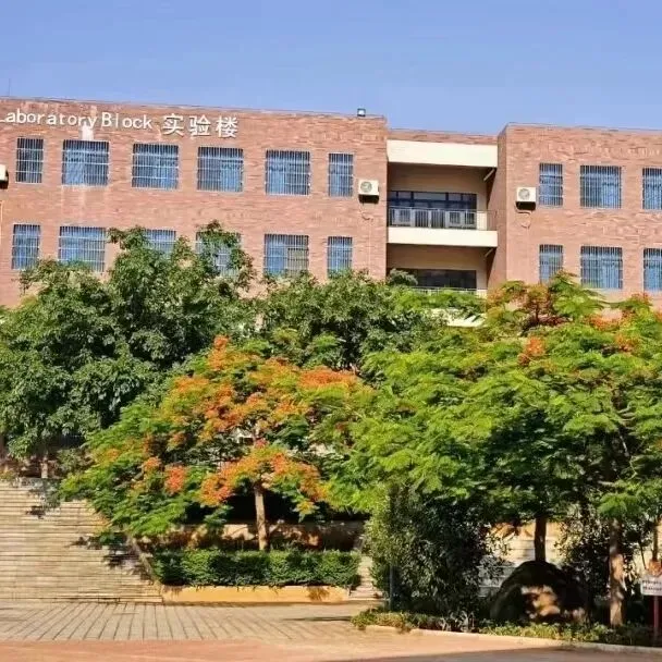 巧家县北附思源实验学校 聚焦素养·赢得中考主题报告 第1张