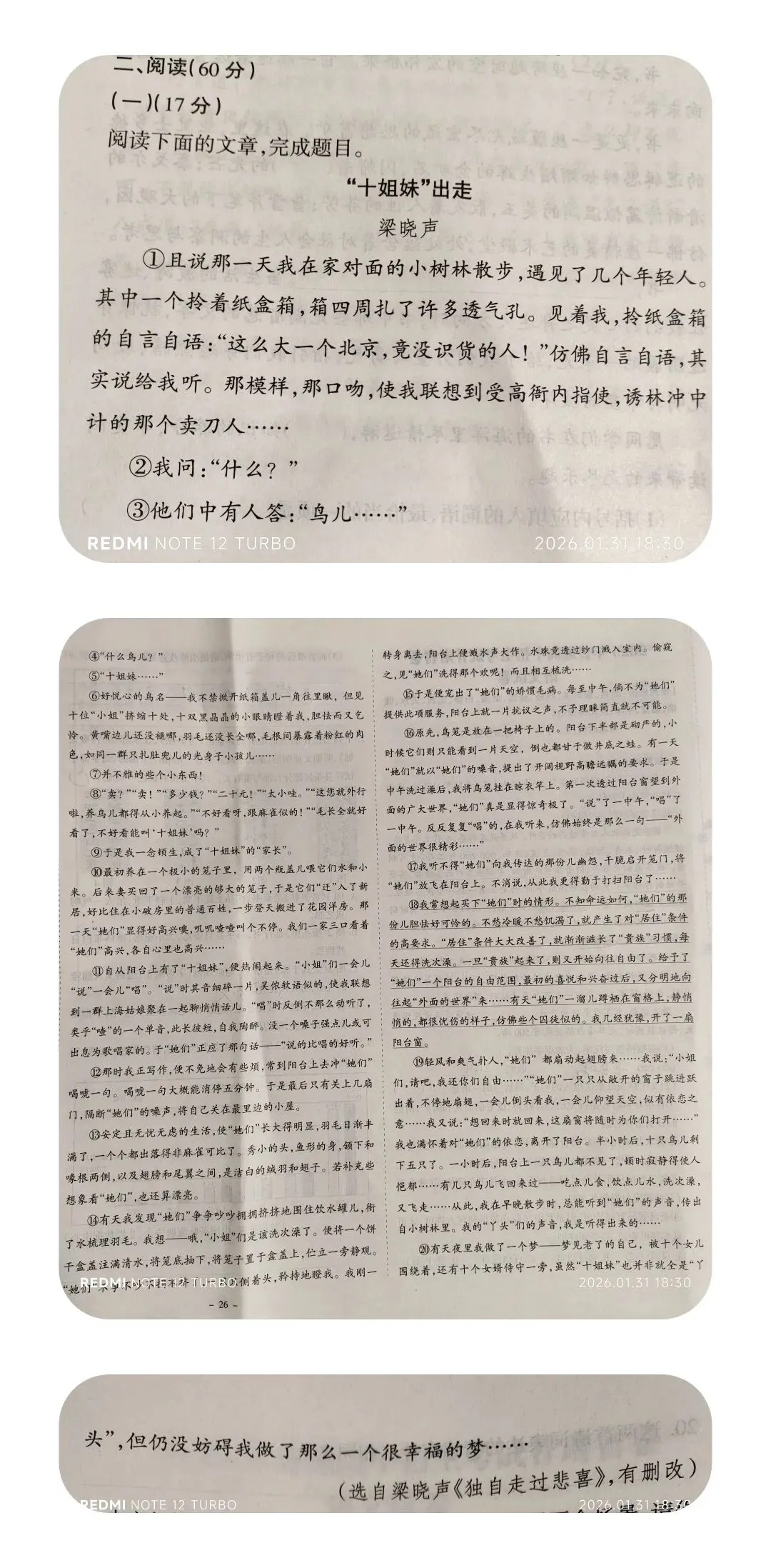 中考复习:现代文阅读 ‖《 “十姐妹”出走》(考点及技巧) 第1张 中考复习:现代文阅读 ‖《 “十姐妹”出走》(考点及技巧) 第1张