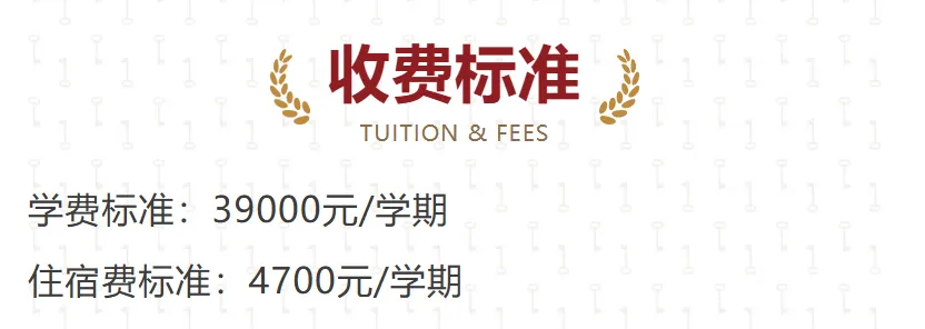 浦东民办顶流!中考成绩一年不如一年?-第5张图片-四季读书网