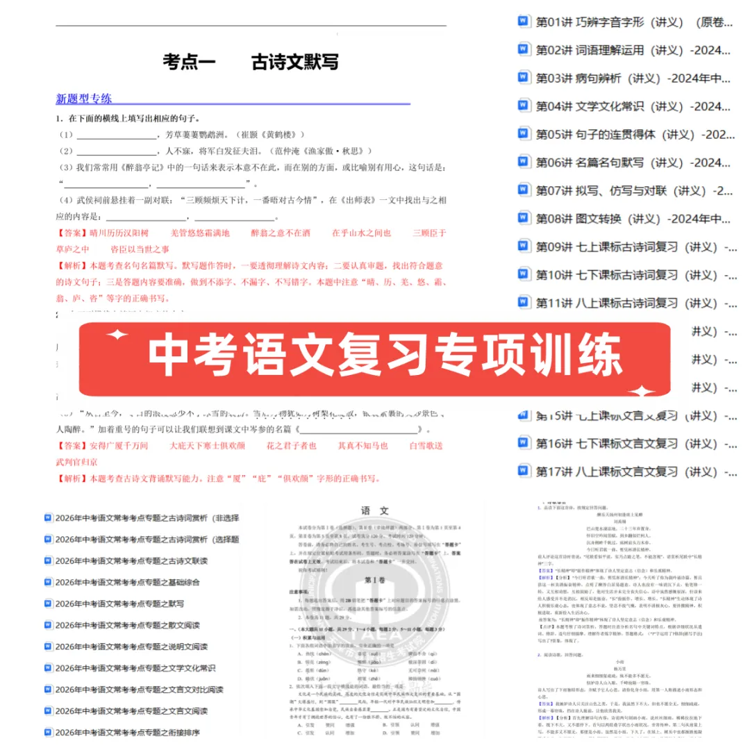 2026中考语文考点专题资料(可下载打印),务必给孩子备一份!!-第2张图片-四季读书网