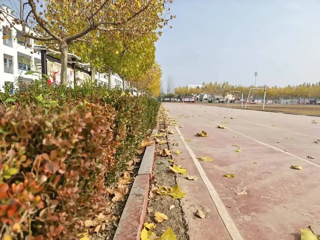家校同心,共赴中考之约!-第16张图片-四季读书网