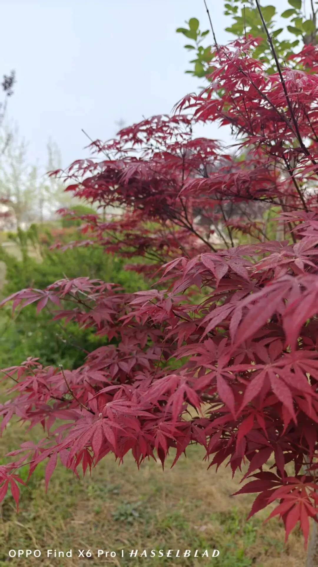 家校同心,共赴中考之约!-第30张图片-四季读书网