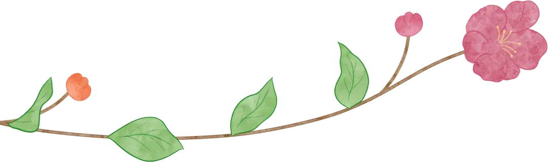 搞好2026中考备考,从寒假开始-第16张图片-四季读书网