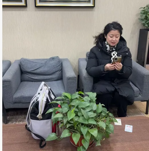 【凤翥鹏翔 •中考研讨】聚焦中考英语改革,共研复习提质之道——工作室组织参与全国英语教学研讨会-第24张图片-四季读书网