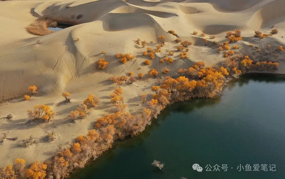 中考临近,这些语文阅读技巧你必须掌握! 第2张
