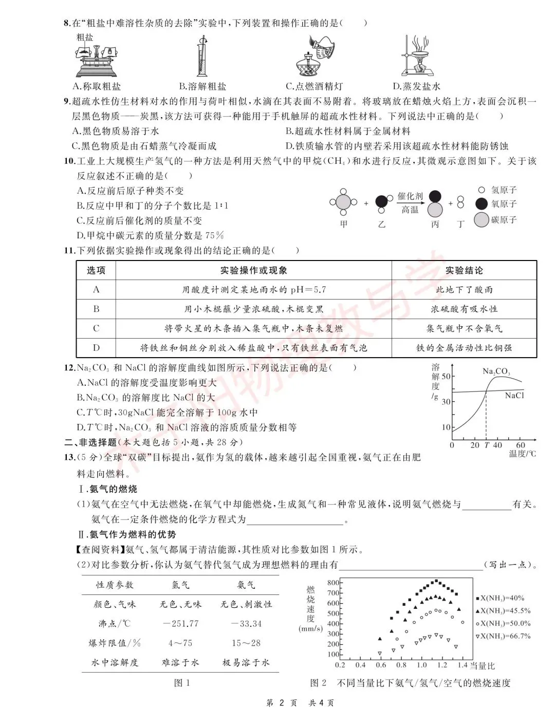25年中考一模系列:合肥名卷第一次月考试题卷及答案 第17张