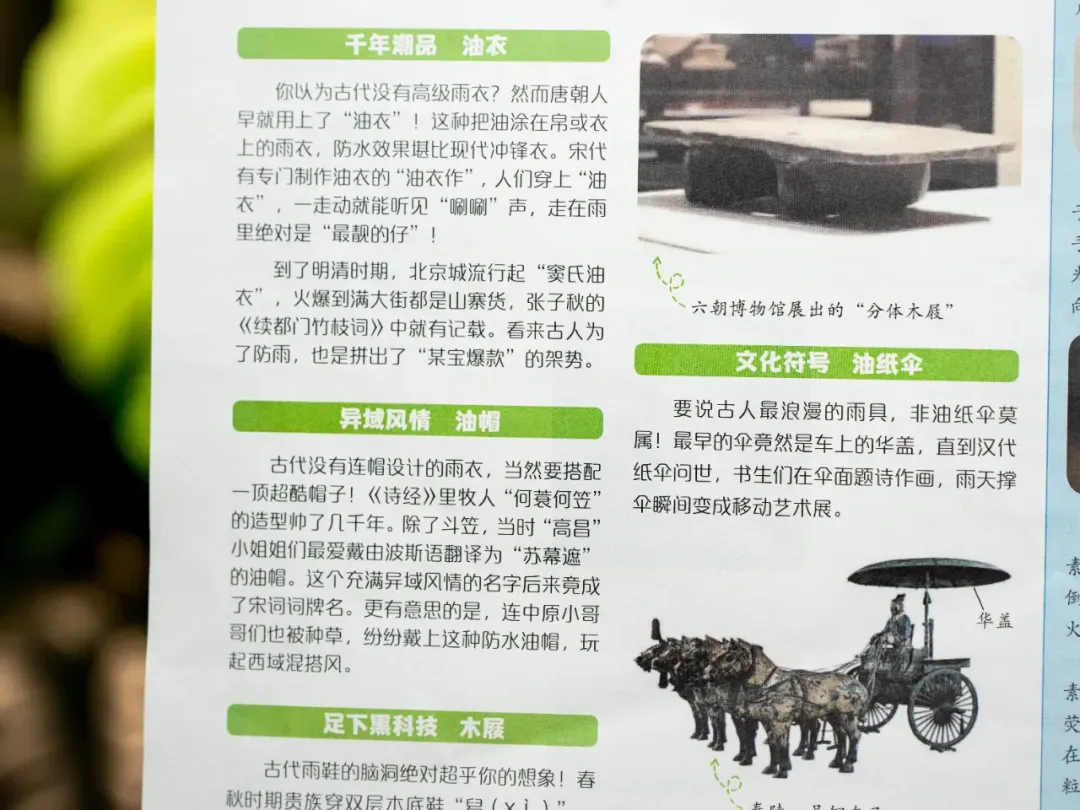 中考后才懂:语文的差距,从来不是刷题!90%家长都搞错了! 第20张
