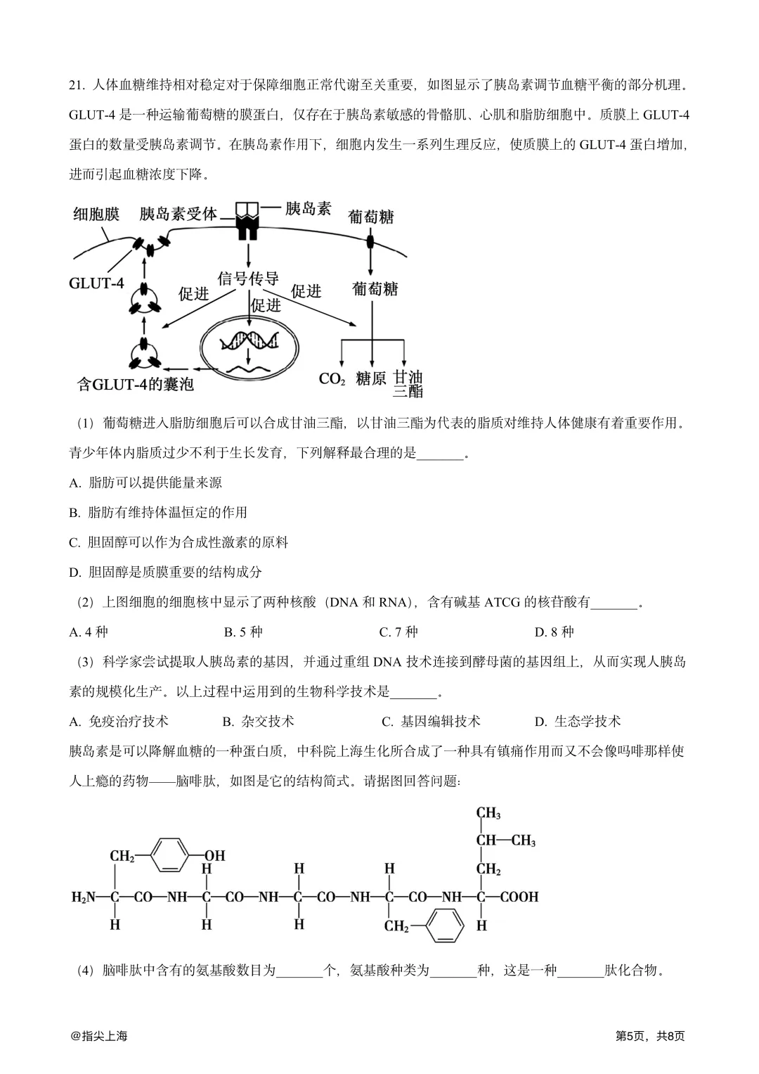 上海市行知中学2025学年上学期高一期中考·生物试卷 第7张