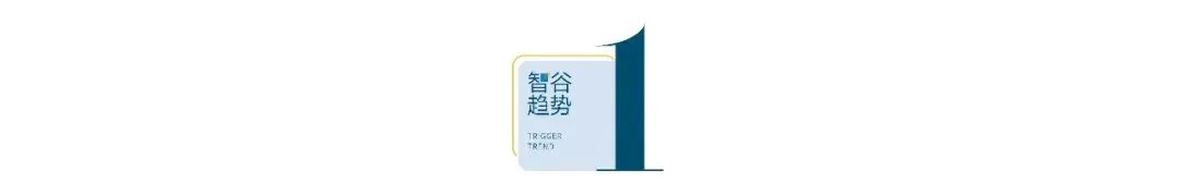 意外!第一个取消中考选拔的城市出现了 第4张