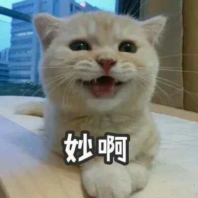 中考语文作文高效备考法——一鱼多味 第4张