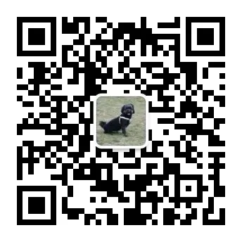 “取消中考高考”为何让大多人破防?-第2张图片-四季读书网 “取消中考高考”为何让大多人破防?-第2张图片-四季读书网