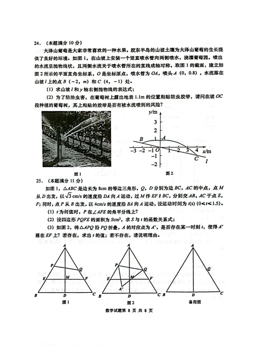 青岛中考第10套2025中考一模市南(含评分标准)无水印可下载-第8张图片-四季读书网