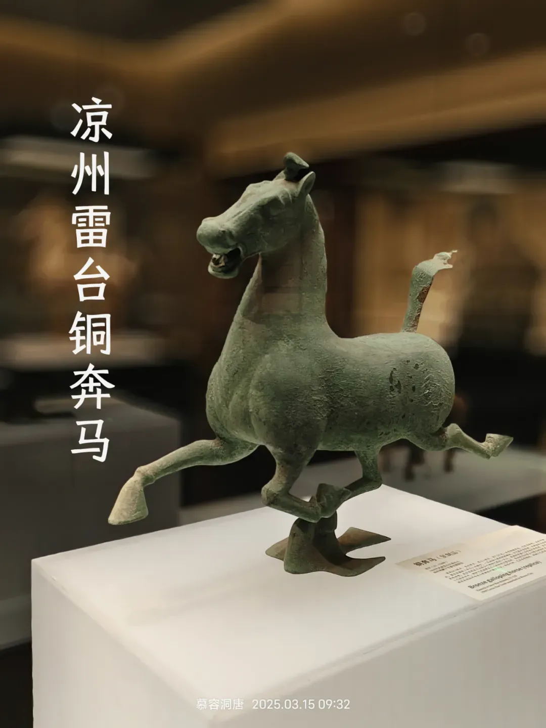 最新消息!中考将取消?专家回应.....-第11张图片-四季读书网