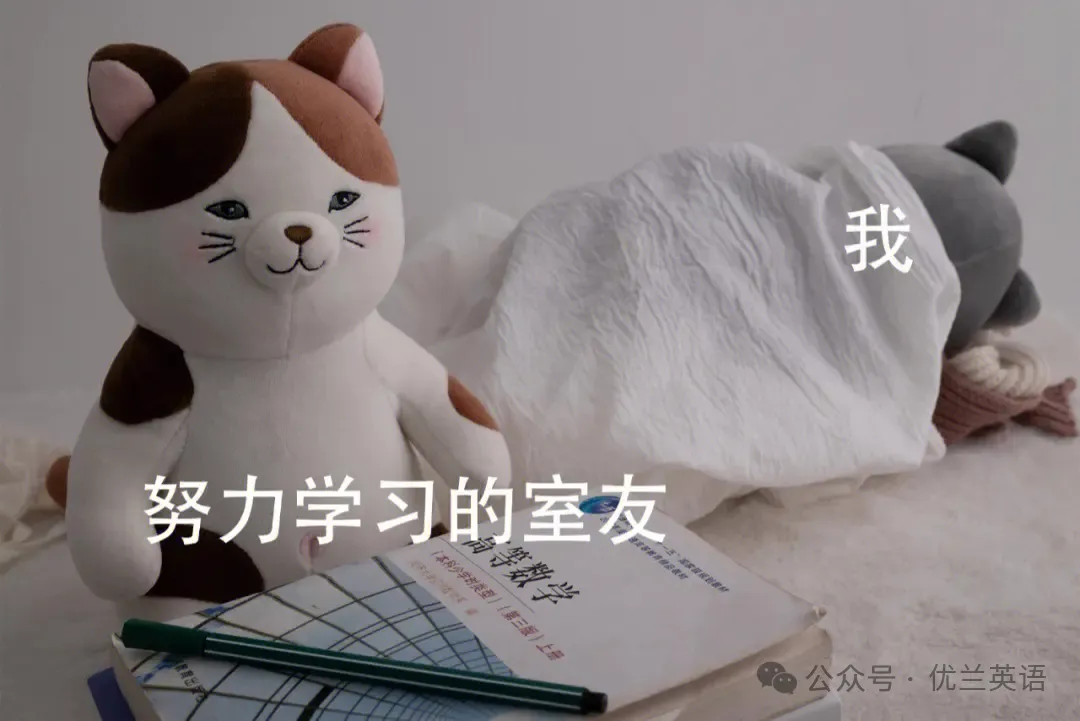 中考1600单词|通过句子背中考单词和句型-第3张图片-四季读书网