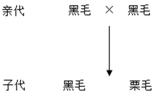 2026年中考生物备考必刷真题:生物的遗传与变异001——新版初中生物讲义配套习题 第1张