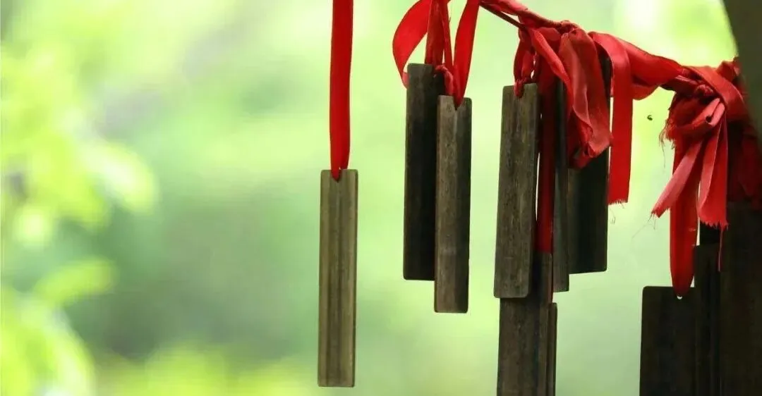 中考倒计时133天 || 吃什么吃什么吃什么 第1张