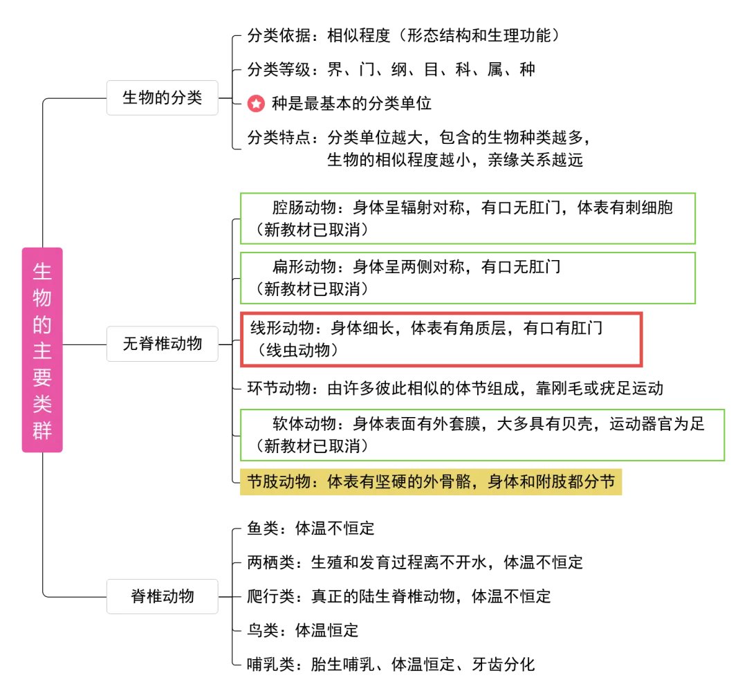 【26年中考生物知识点清单清单03 动物的主要类群(解析版) 第6张 【26年中考生物知识点清单清单03 动物的主要类群(解析版) 第6张