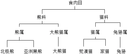 【26年中考生物知识点清单清单03 动物的主要类群(解析版) 第19张 【26年中考生物知识点清单清单03 动物的主要类群(解析版) 第19张