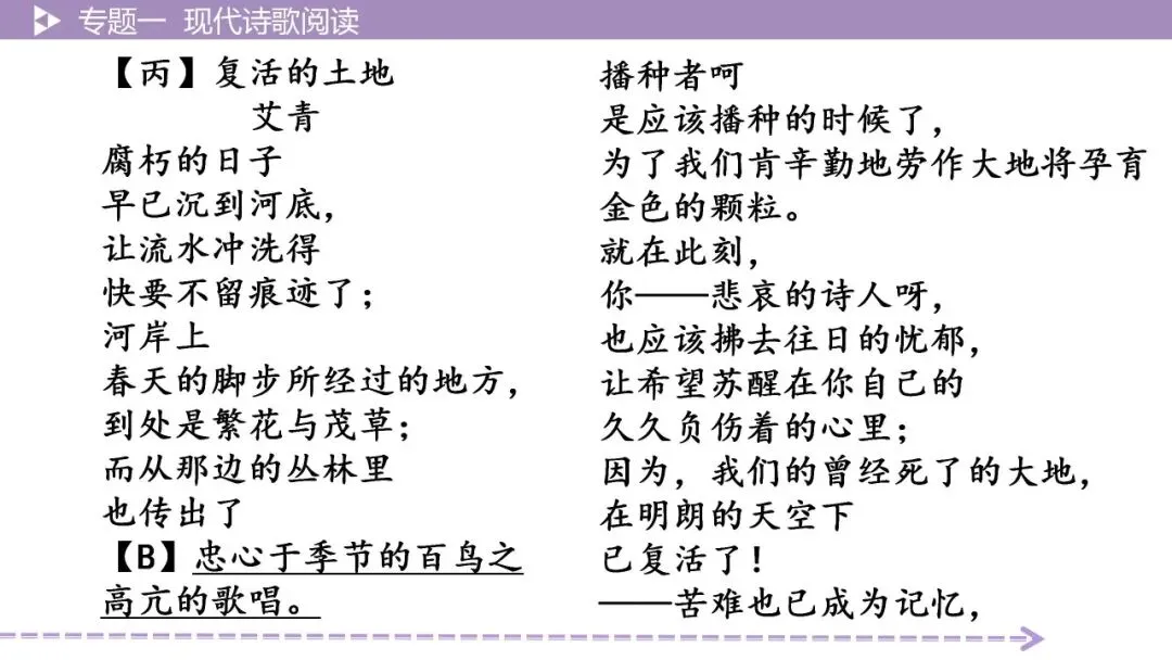 【最新版2026中考总复习】文学作品阅读:现代诗歌阅读·考点讲解、训练 第20张 【最新版2026中考总复习】文学作品阅读:现代诗歌阅读·考点讲解、训练 第20张