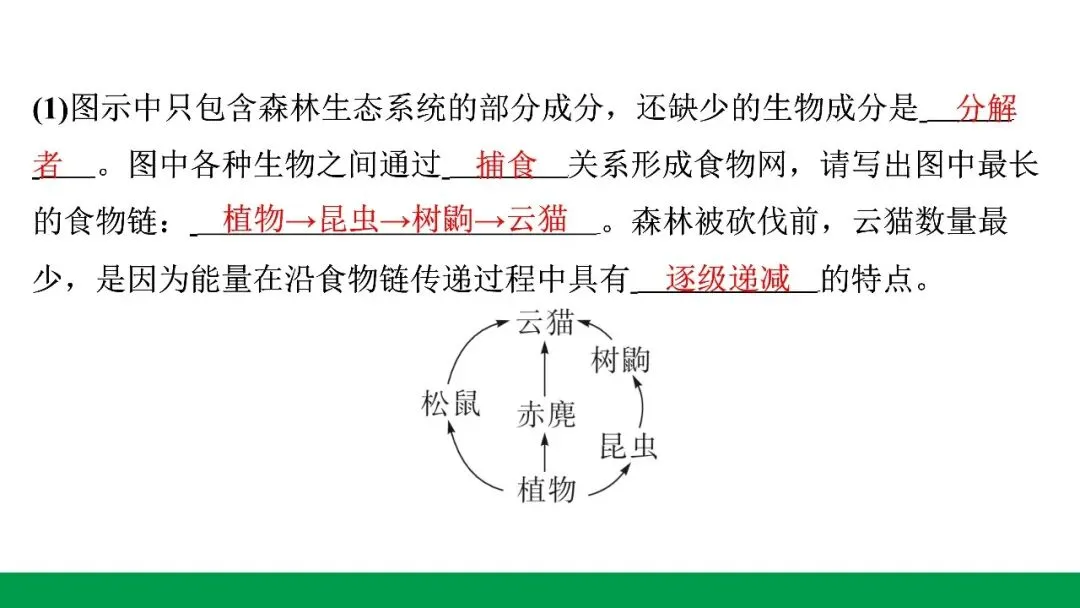 地生学考题型突破|河北中考非选择题突破专题一生态系统与生物多样性(后附PPT课件下载链接) 第3张