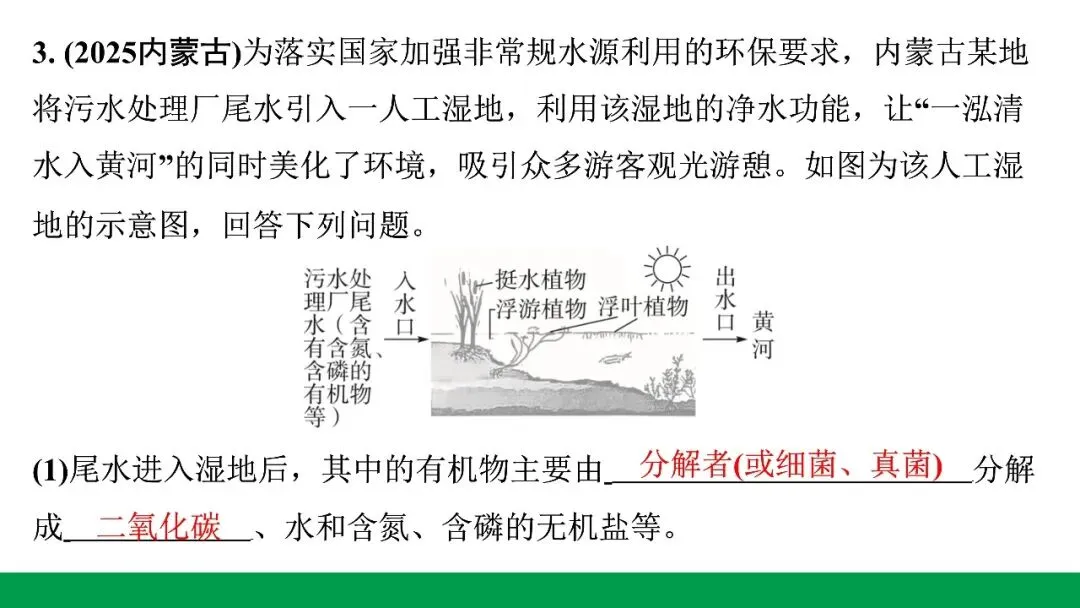 地生学考题型突破|河北中考非选择题突破专题一生态系统与生物多样性(后附PPT课件下载链接) 第9张
