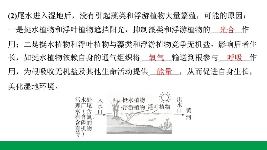 地生学考题型突破|河北中考非选择题突破专题一生态系统与生物多样性(后附PPT课件下载链接) 第10张